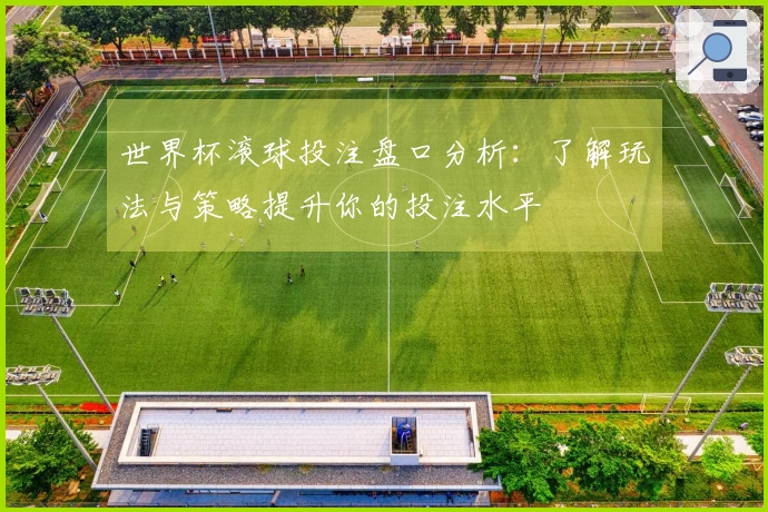 世界杯滚球投注盘口分析：了解玩法与策略提升你的投注水平