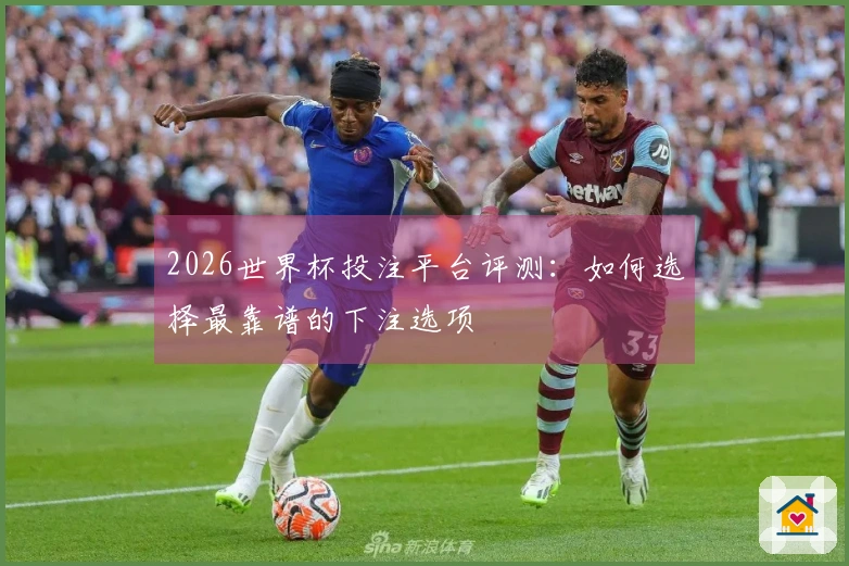 2026世界杯投注平台评测：如何选择最靠谱的下注选项