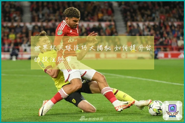 世界杯买球技巧大揭秘 如何提升你的投注胜率