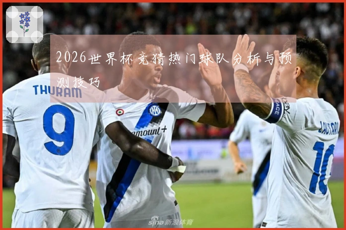2026世界杯竞猜热门球队分析与预测技巧