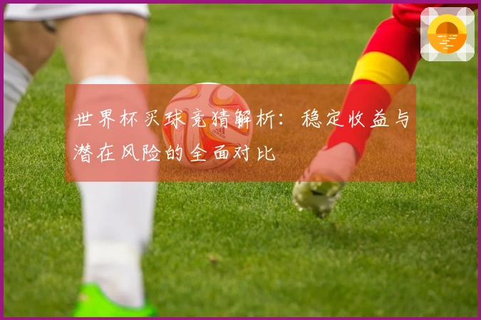 世界杯买球竞猜解析：稳定收益与潜在风险的全面对比