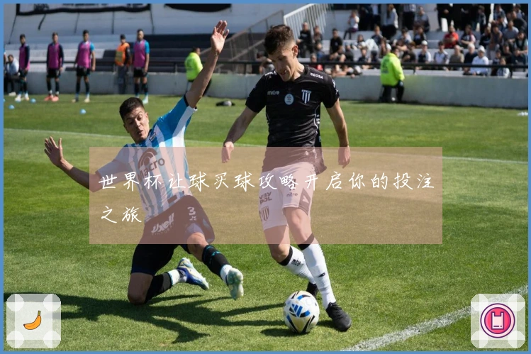 世界杯让球买球攻略开启你的投注之旅