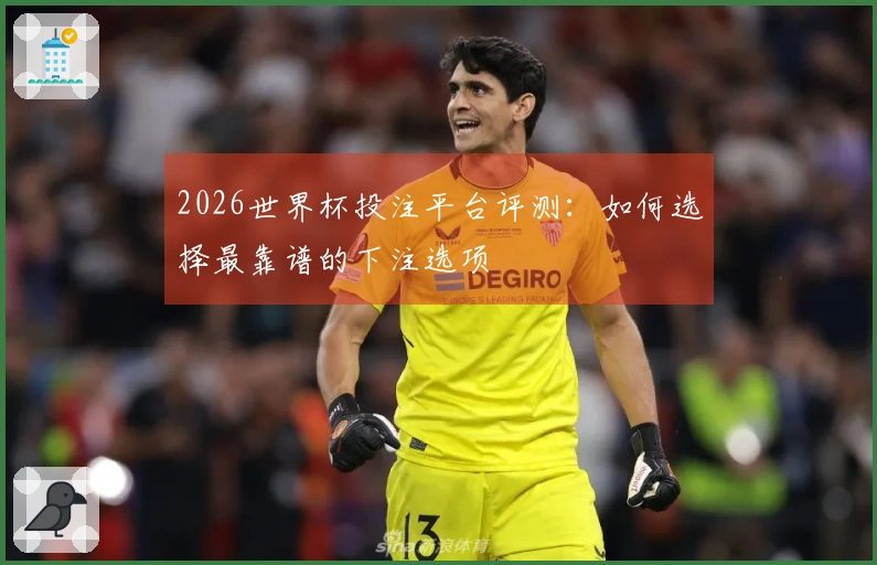 2026世界杯投注平台评测：如何选择最靠谱的下注选项