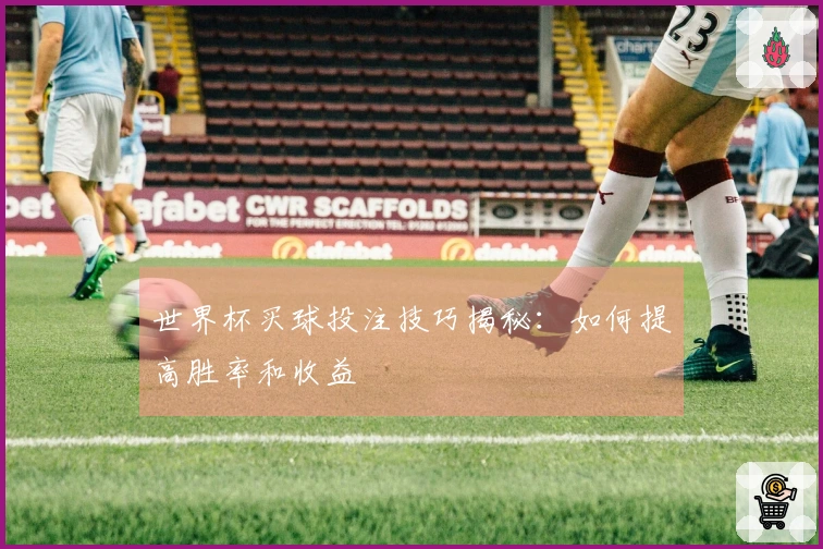 世界杯买球投注技巧揭秘：如何提高胜率和收益
